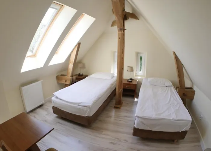 Szewczenki 3 Hostel *